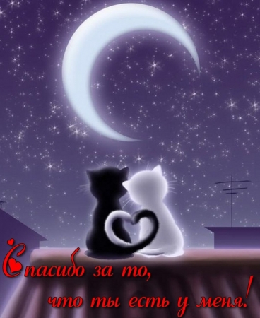 Спокойной ночи - романтичная открытка скачайте