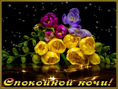 Доброй ночи - открытки с цветами скачать