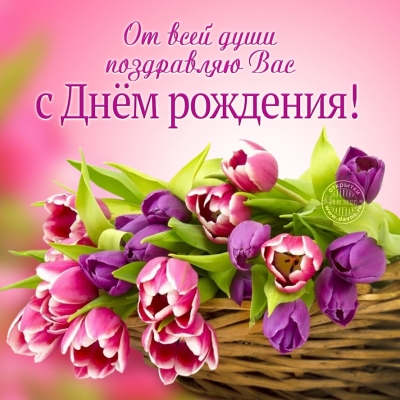 С днем рожденья для женщины картинки с тюльпанами